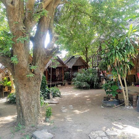 מלון קו לנטה Easy Huts מראה חיצוני תמונה